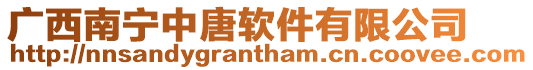 廣西南寧中唐軟件有限公司