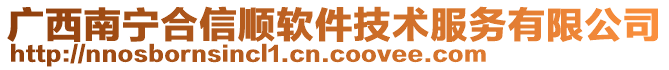 廣西南寧合信順軟件技術(shù)服務(wù)有限公司