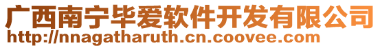 廣西南寧畢愛軟件開發(fā)有限公司