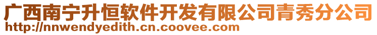 廣西南寧升恒軟件開發有限公司青秀分公司