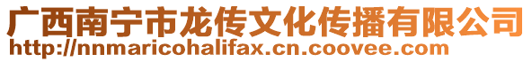 廣西南寧市龍傳文化傳播有限公司