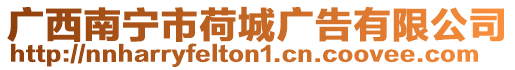 廣西南寧市荷城廣告有限公司