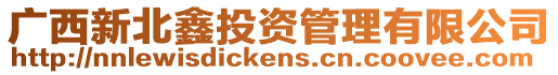 廣西新北鑫投資管理有限公司