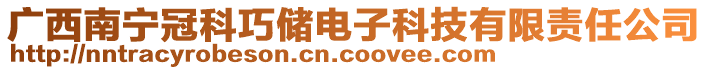 廣西南寧冠科巧儲電子科技有限責(zé)任公司