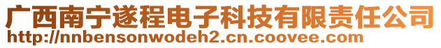 廣西南寧遂程電子科技有限責任公司