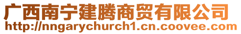 廣西南寧建騰商貿有限公司