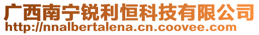 廣西南寧銳利恒科技有限公司