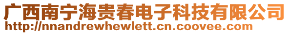 廣西南寧海貴春電子科技有限公司