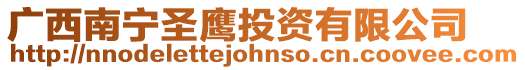 廣西南寧圣鷹投資有限公司