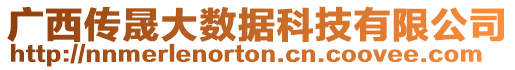 廣西傳晟大數(shù)據(jù)科技有限公司