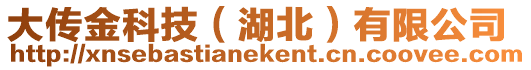 大傳金科技(湖北)有限公司