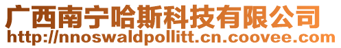 廣西南寧哈斯科技有限公司
