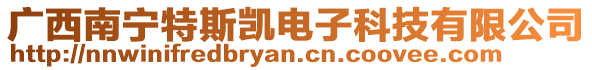 廣西南寧特斯凱電子科技有限公司