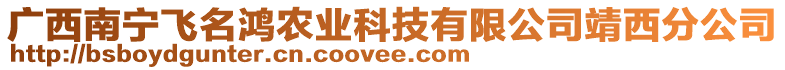 廣西南寧飛名鴻農(nóng)業(yè)科技有限公司靖西分公司