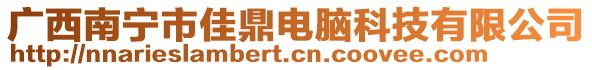 廣西南寧市佳鼎電腦科技有限公司