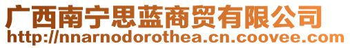 廣西南寧思藍商貿(mào)有限公司