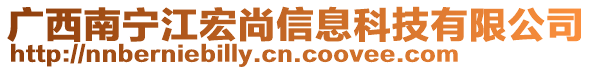 廣西南寧江宏尚信息科技有限公司