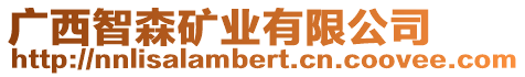 廣西智森礦業(yè)有限公司