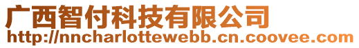 廣西智付科技有限公司