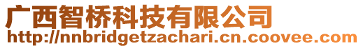 廣西智橋科技有限公司