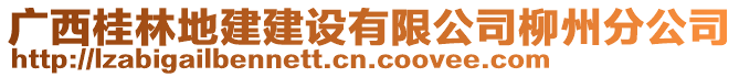 廣西桂林地建建設有限公司柳州分公司