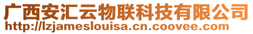 廣西安匯云物聯(lián)科技有限公司