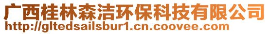 广西桂林森洁环保科技有限公司