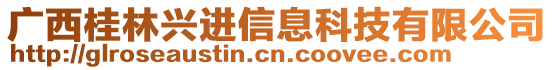 廣西桂林興進信息科技有限公司