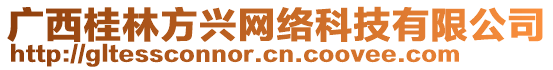 廣西桂林方興網絡科技有限公司