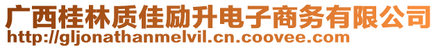 廣西桂林質(zhì)佳勵升電子商務(wù)有限公司