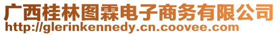 廣西桂林圖霖電子商務(wù)有限公司