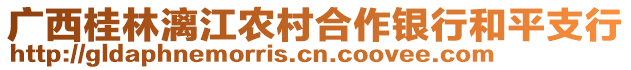 廣西桂林漓江農(nóng)村合作銀行和平支行