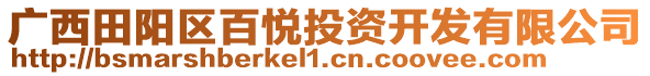 廣西田陽區(qū)百悅投資開發(fā)有限公司