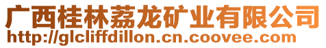 廣西桂林荔龍礦業(yè)有限公司