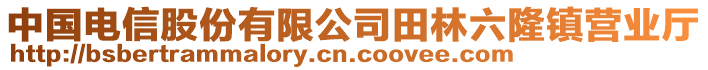 中國(guó)電信股份有限公司田林六隆鎮(zhèn)營(yíng)業(yè)廳