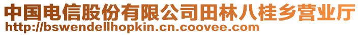 中國(guó)電信股份有限公司田林八桂鄉(xiāng)營(yíng)業(yè)廳