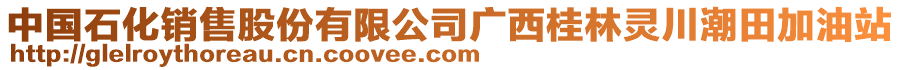 中國石化銷售股份有限公司廣西桂林靈川潮田加油站