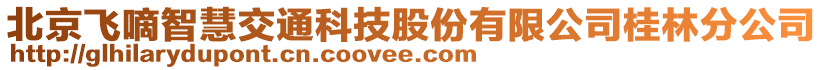 北京飞嘀智慧交通科技股份有限公司桂林分公司