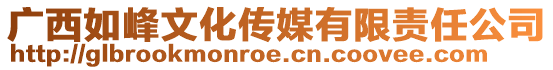 廣西如峰文化傳媒有限責(zé)任公司