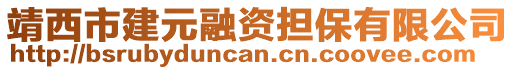 靖西市建元融資擔保有限公司