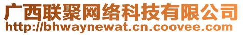 廣西聯(lián)聚網絡科技有限公司