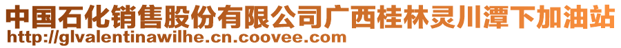 中國(guó)石化銷售股份有限公司廣西桂林靈川潭下加油站