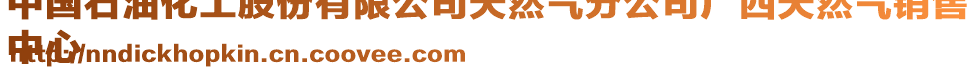 中國(guó)石油化工股份有限公司天然氣分公司廣西天然氣銷售
中心