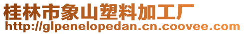 桂林市象山塑料加工廠