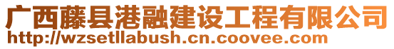 广西藤县港融建设工程有限公司