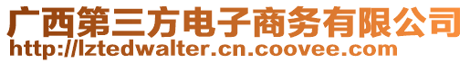 廣西第三方電子商務有限公司