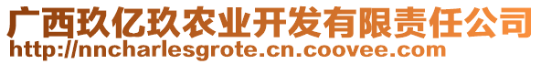 廣西玖億玖農(nóng)業(yè)開發(fā)有限責(zé)任公司