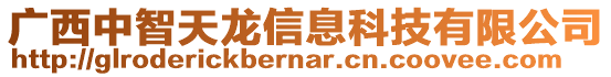 廣西中智天龍信息科技有限公司