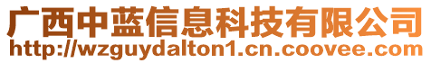 廣西中藍(lán)信息科技有限公司