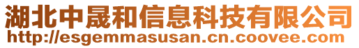 湖北中晟和信息科技有限公司